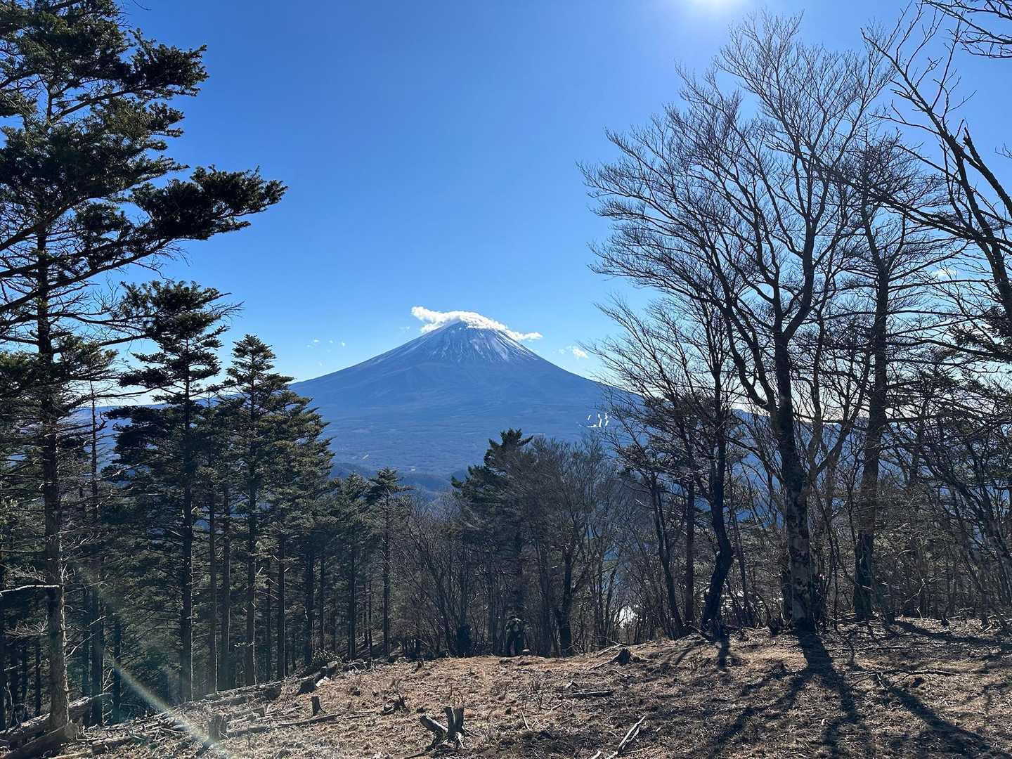 十二ヶ岳登山道入口-ミネ山-毛無山-十二ヶ岳-金山-鬼ヶ岳 縦走コースの写真