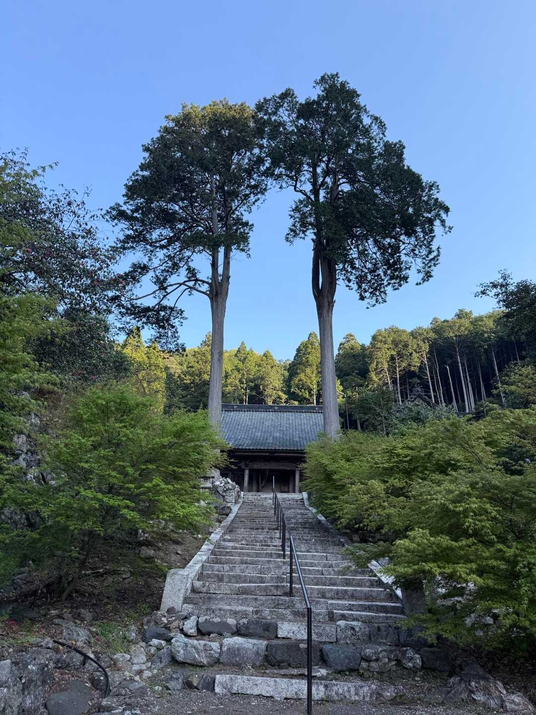 とても素晴らしかったです✨