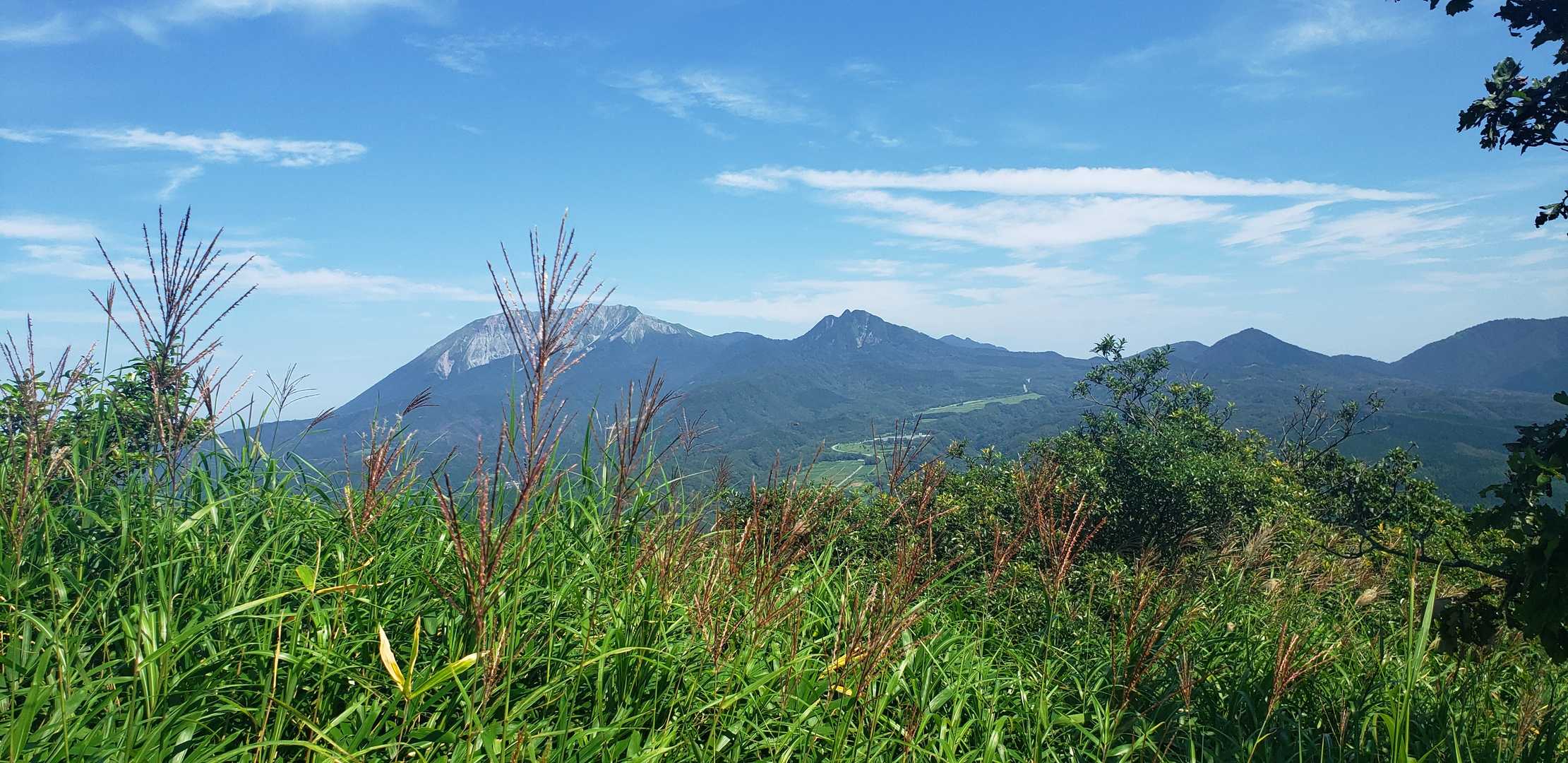 ススキ越しの大山～烏ヶ山