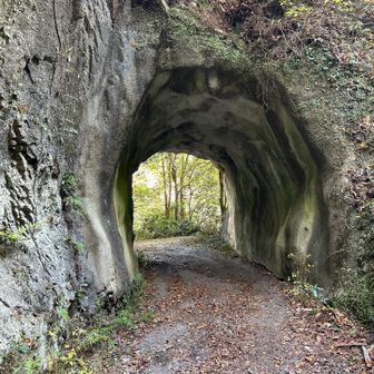 トンネル。この先道路工事してて南天の滝はあきらめました。また次回。