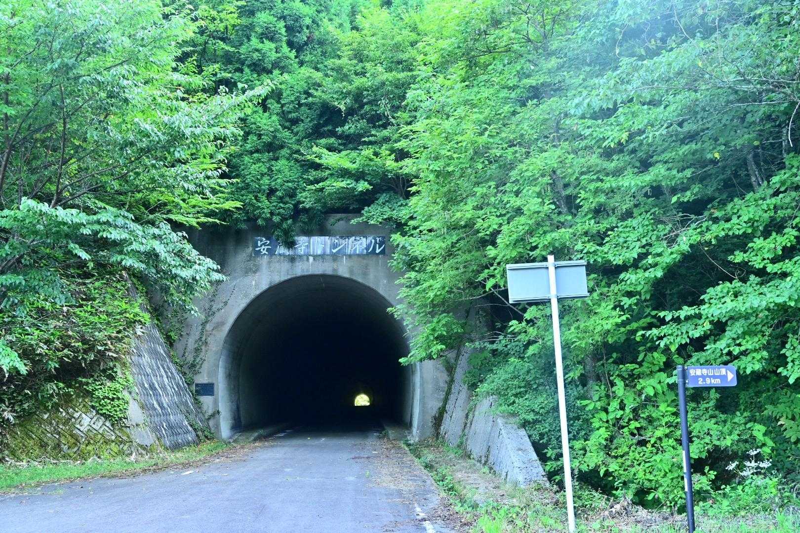 ここまでの道の運転が大変だった😱
トンネルの向こう側から来ました