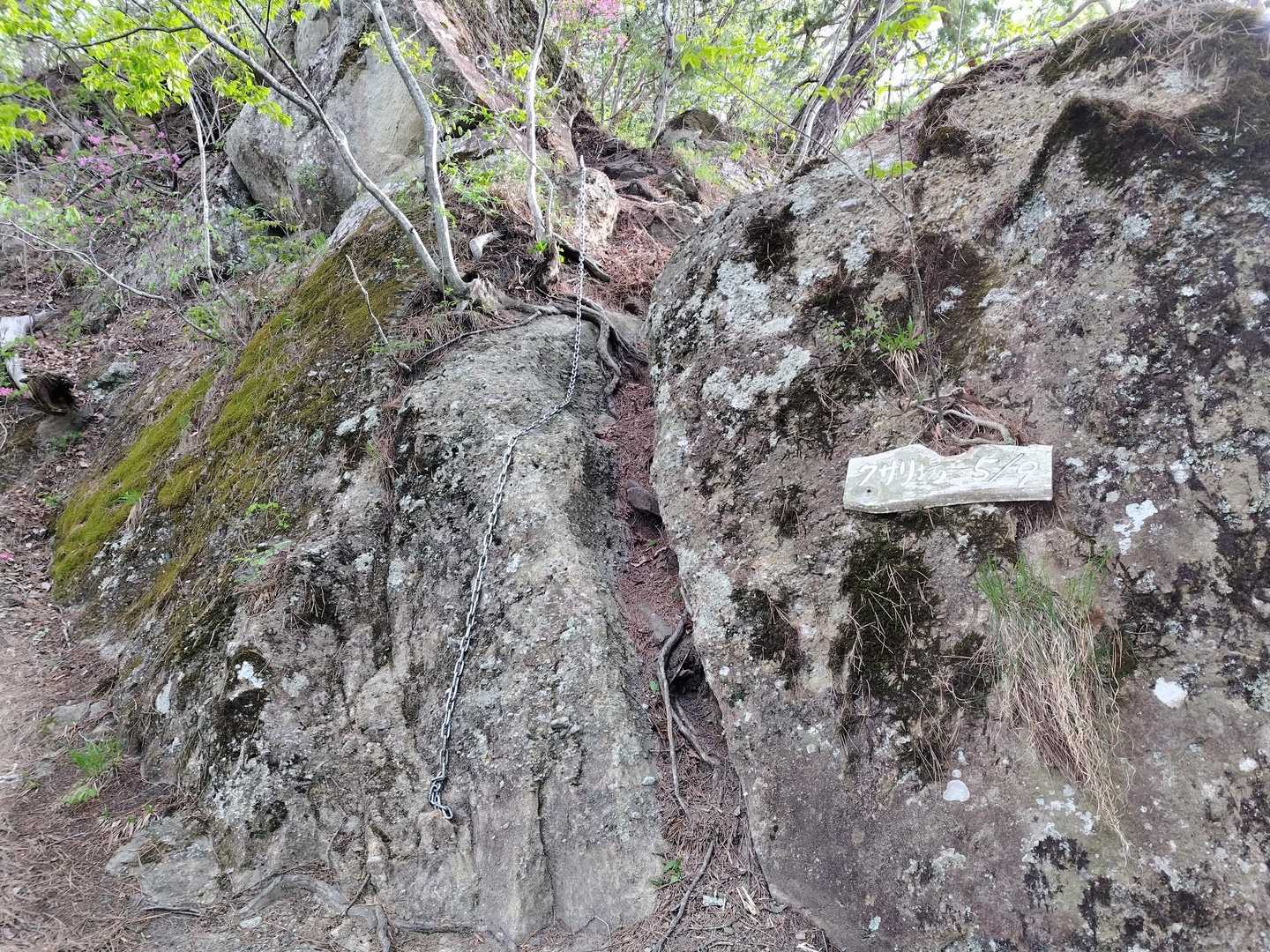 次々に鎖場、おりゃー😤
こういう歩きは久しぶり