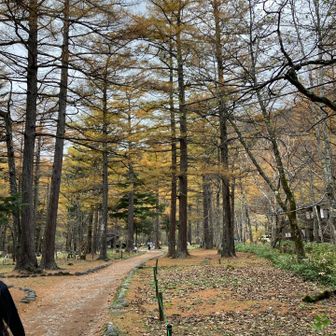 小梨平キャンプ場🏕️