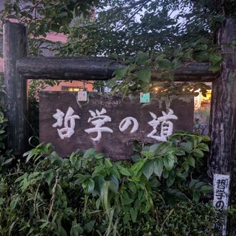 哲学の道より〜
蛍さがし〜✨