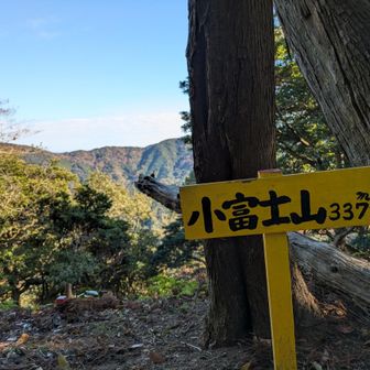 小富士山　337m