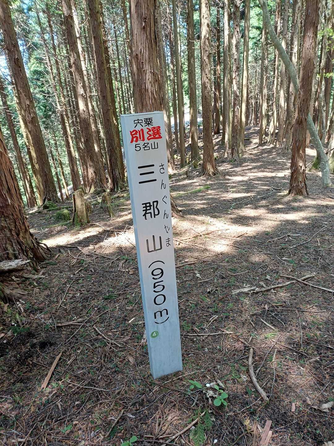 宍粟別選5名山の三群山に到着しました。