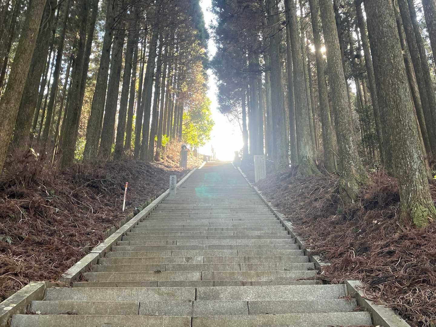 真ん中から光が差し込む✨