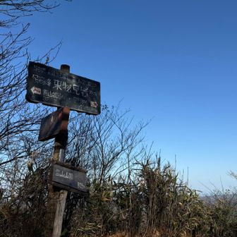 この後コーヒーを飲みタバコをふかす
14:30までだらだら