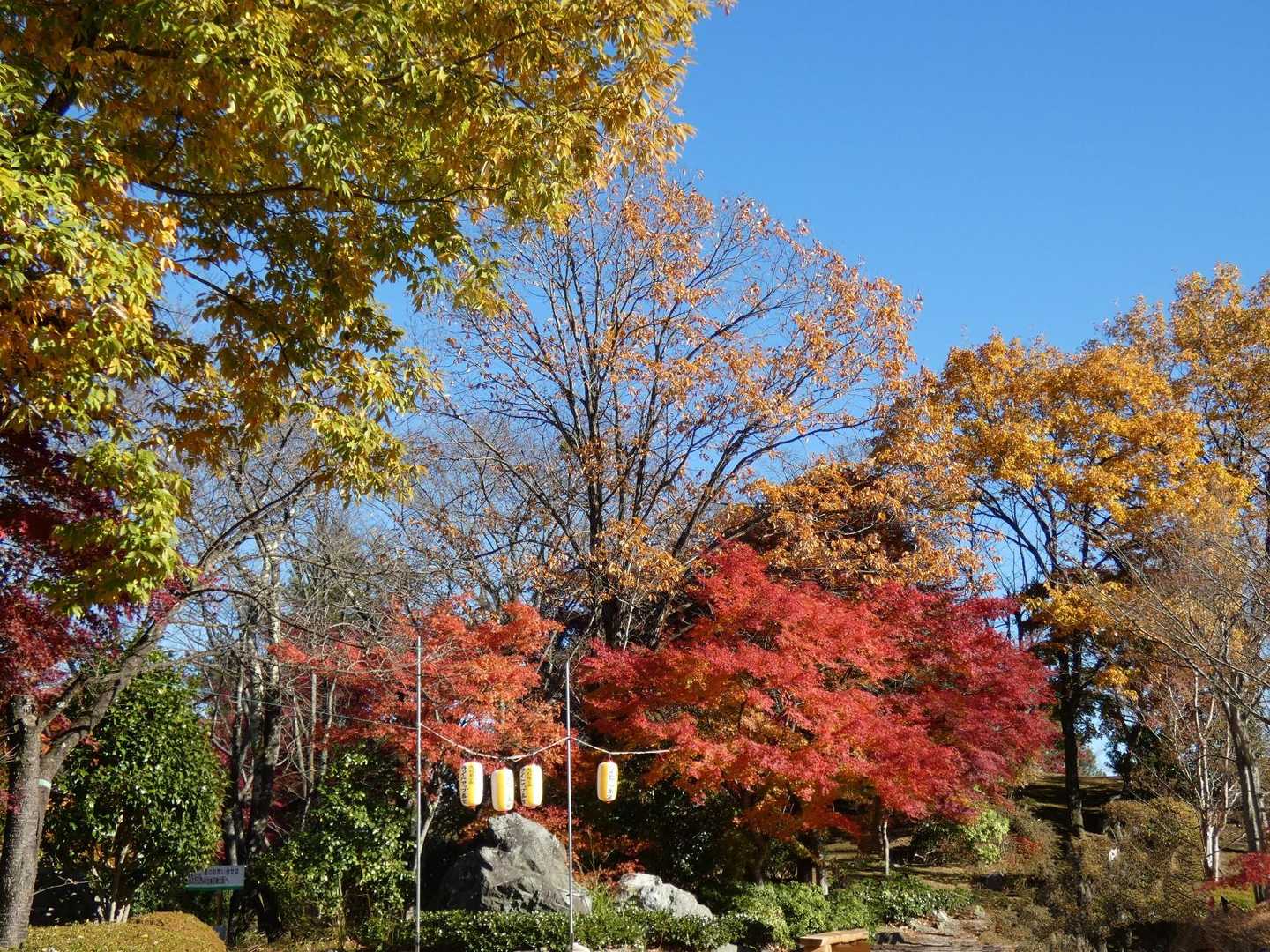 🍁紅葉🍁
✨キレィ✨です👏🥳👏