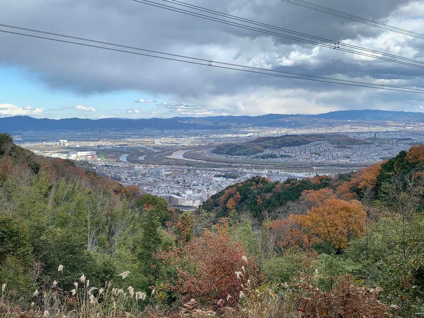 桂川、宇治川、木津川合流→淀川に。の地点ですね〜
