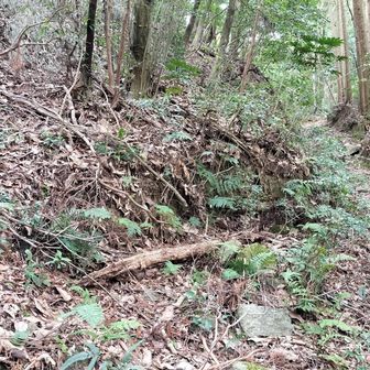 九州自然歩道でした