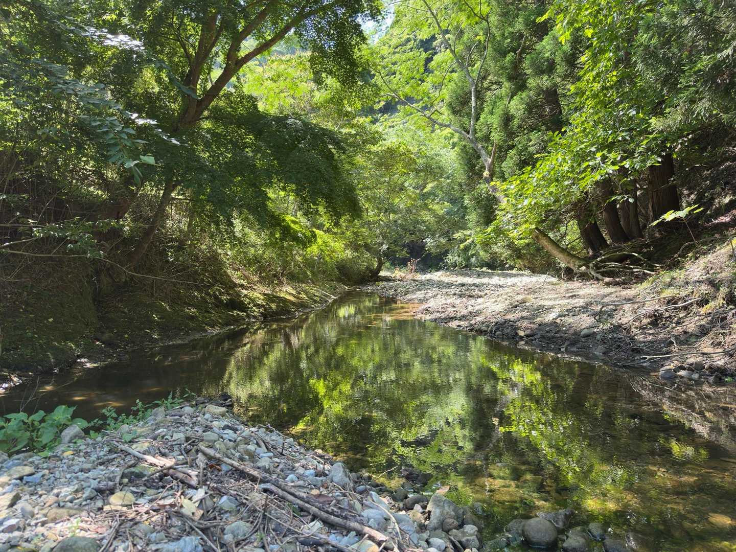 鎌倉古道 大塚山・三浦三良登山口-三浦三良山 周回コースの写真