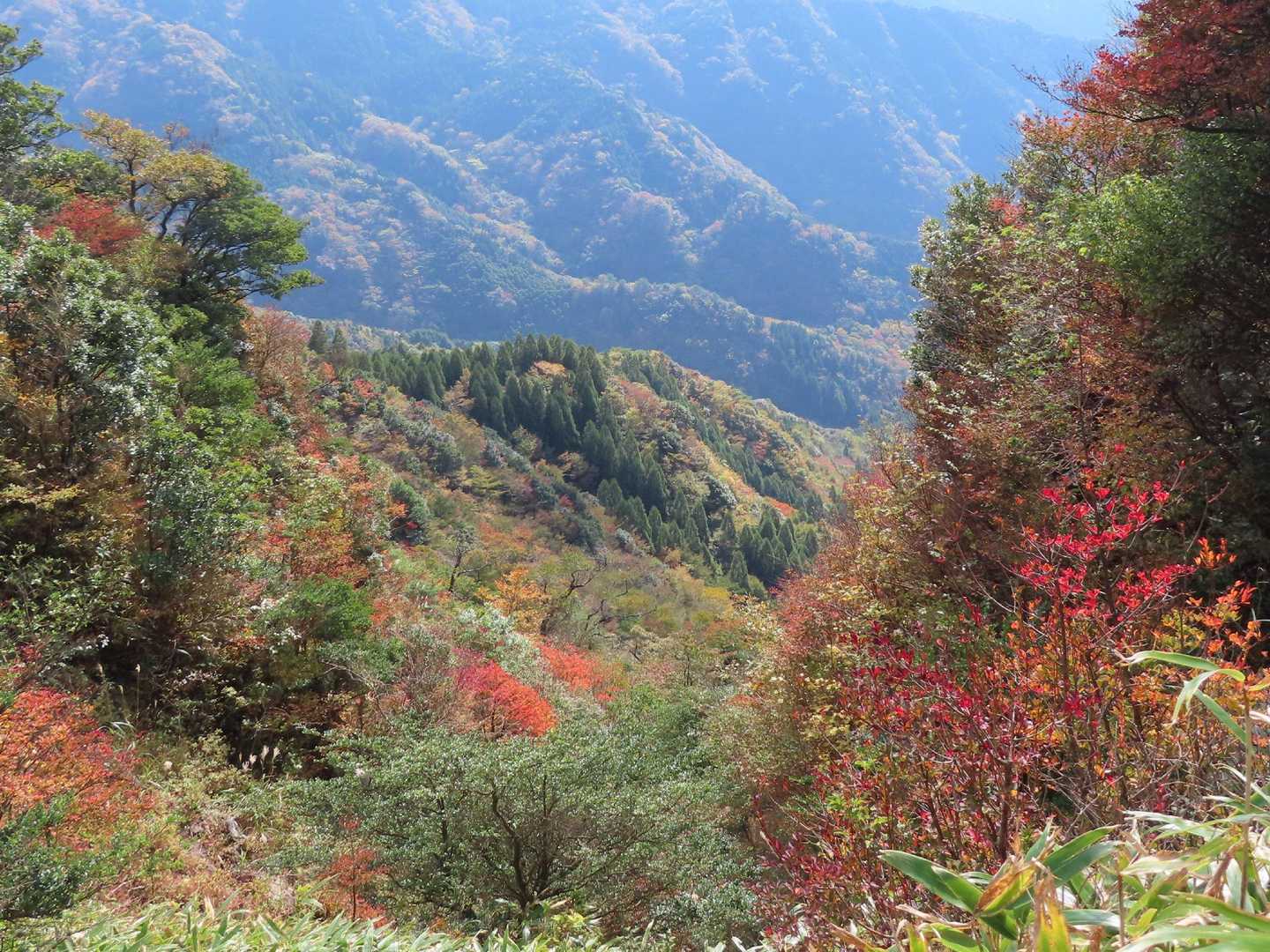 矢部越登山口-釈迦岳-御前岳-釈迦岳 周回コースの写真