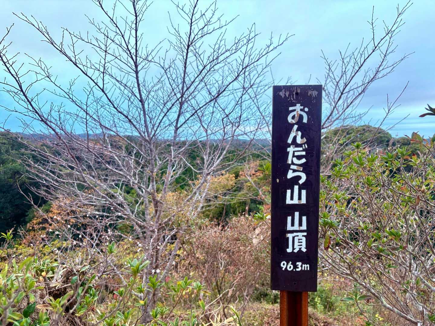 20分でピークハント、ラッキー✌️