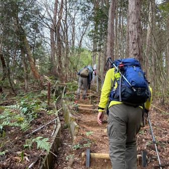 め、メッチャ急登💦😱　が続くからなのね〜