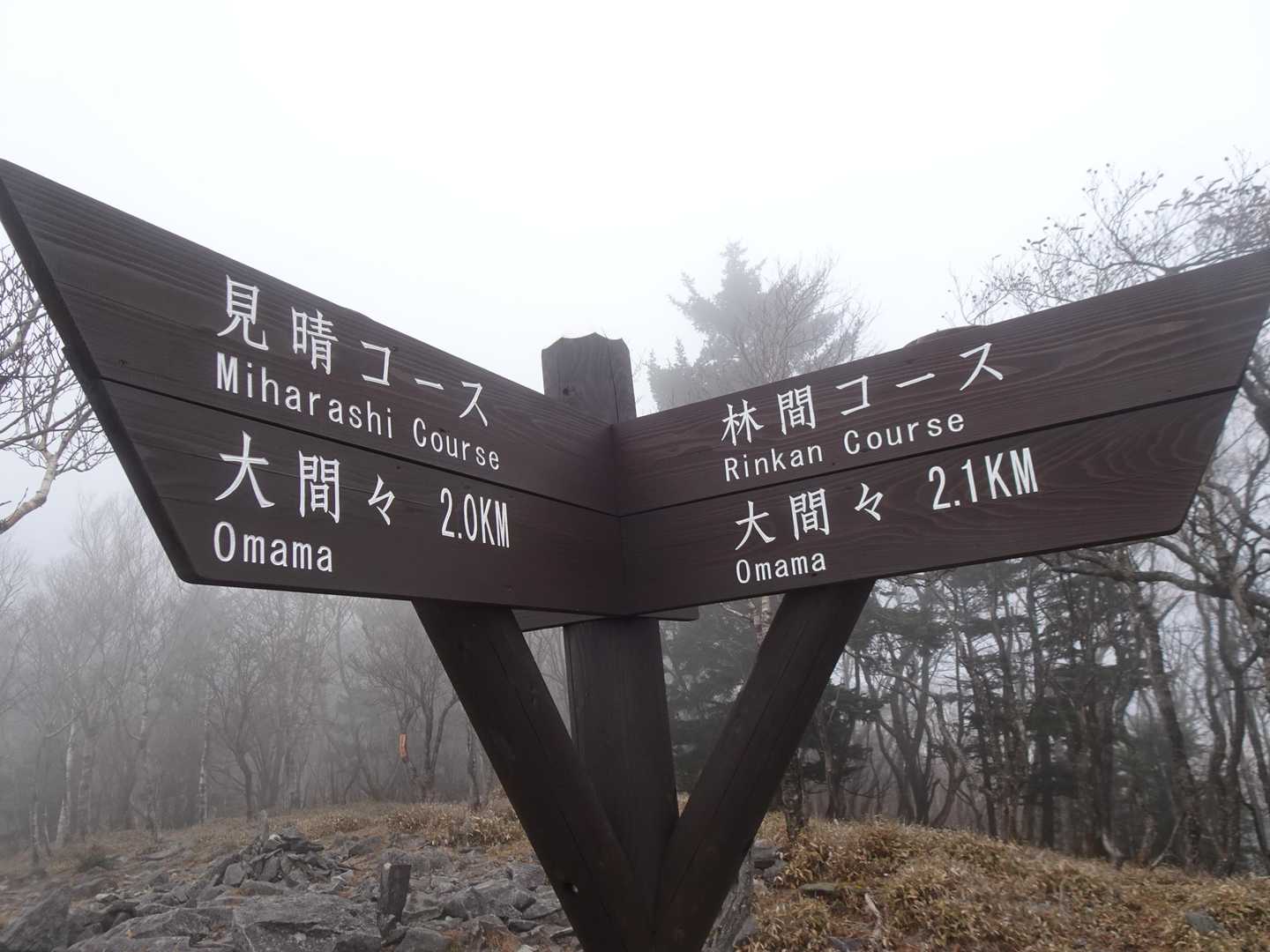 八海山神社の分岐点へ
下山は見晴コースをチョイス、見晴ゼロ確定ですが何か😁