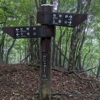 白クラノ頭到着。すぐ折り返して三国山へ。