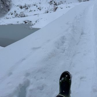 雪、たっぷりの登山道👀