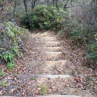 整備されてる道をさくさく降りていったらルート外れてました…こちらは麓の公園へ下りるルートなので戻りました