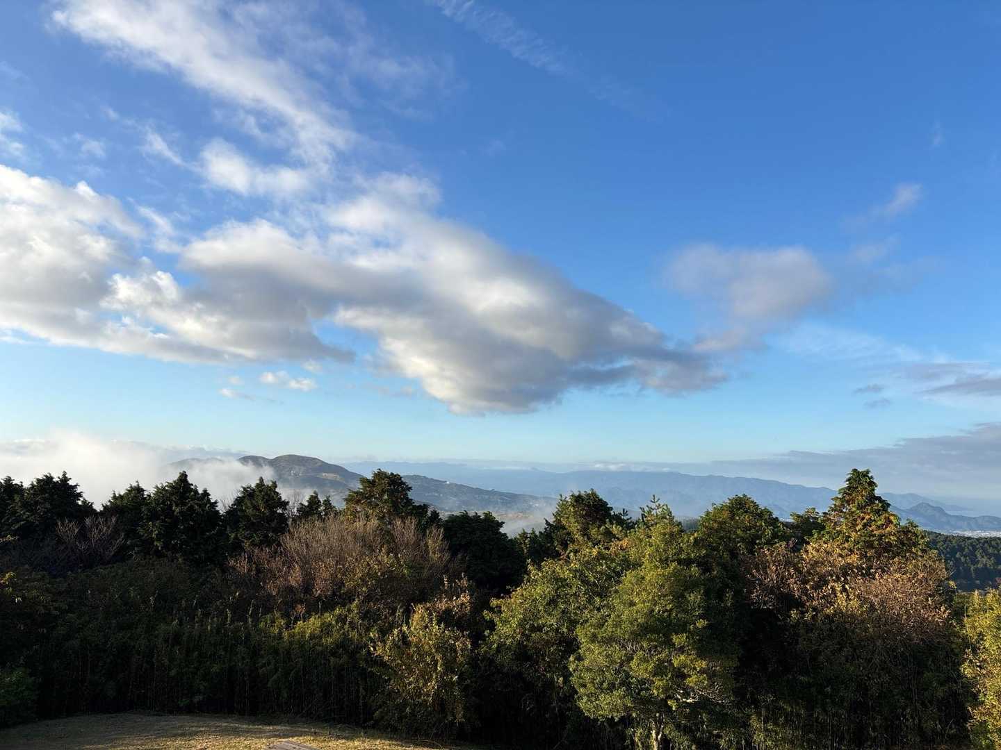 展望台からの景色