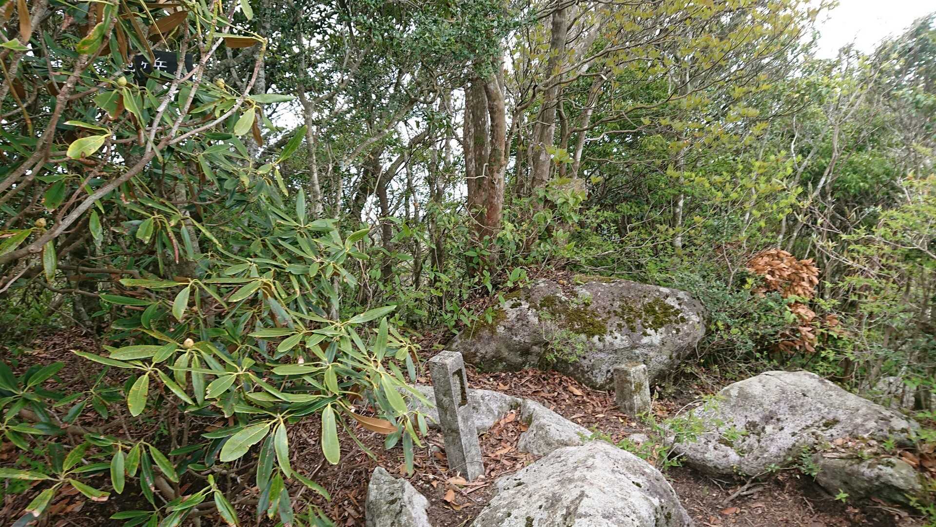 笹岳の写真