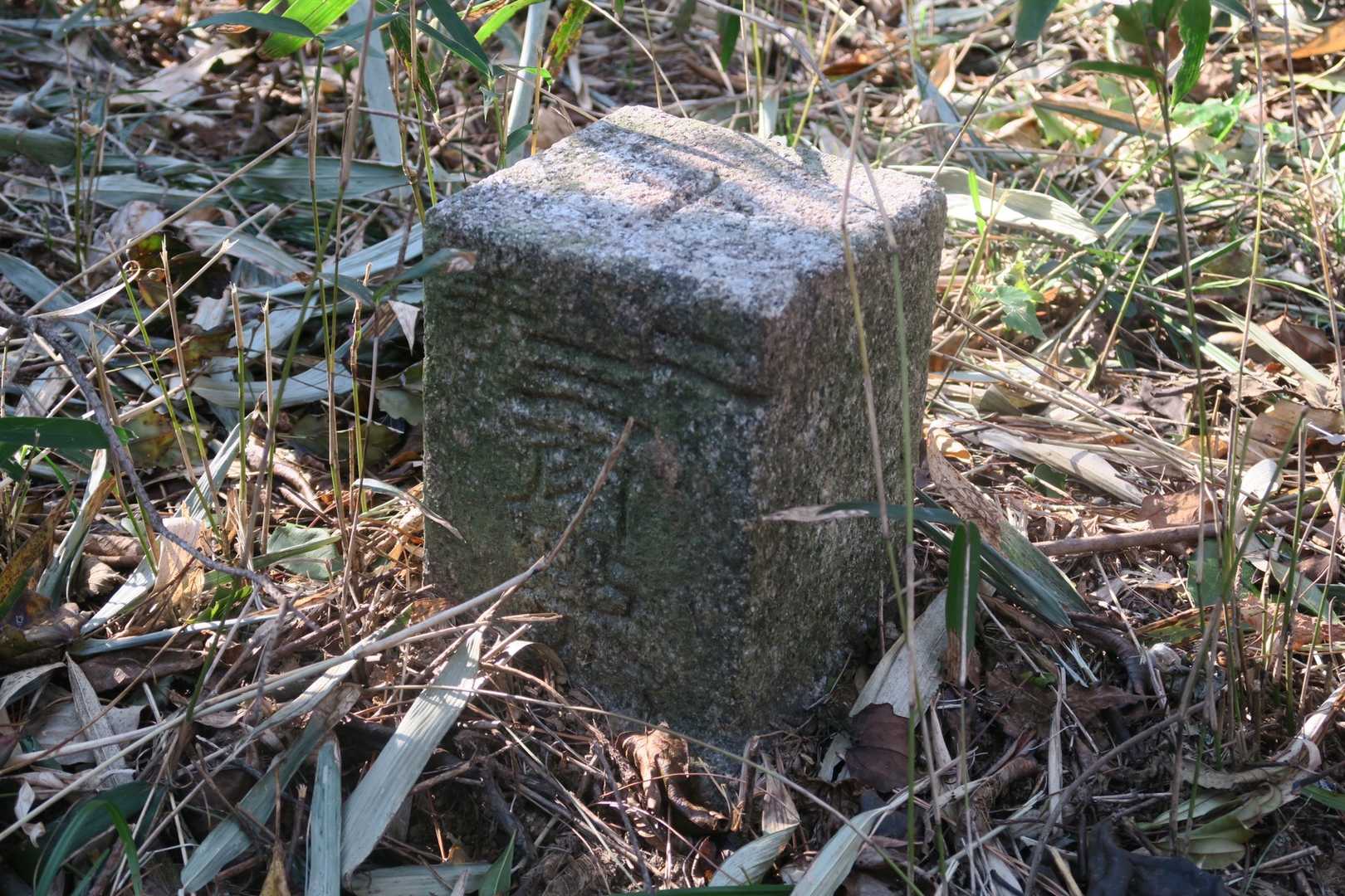 三角点あり、ここがヤマップでのランドマーク「おのころ山」