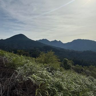 あっという間に山頂🤣