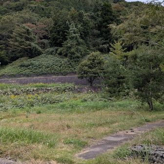 戸室山