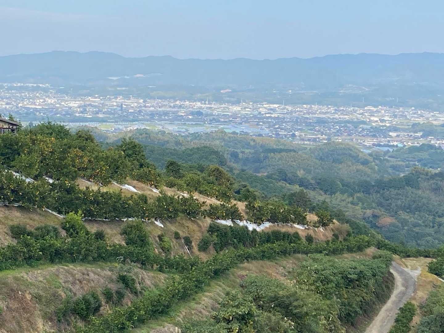 下にみえるは橘町かな。