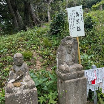 第七十九番　金華山高照院