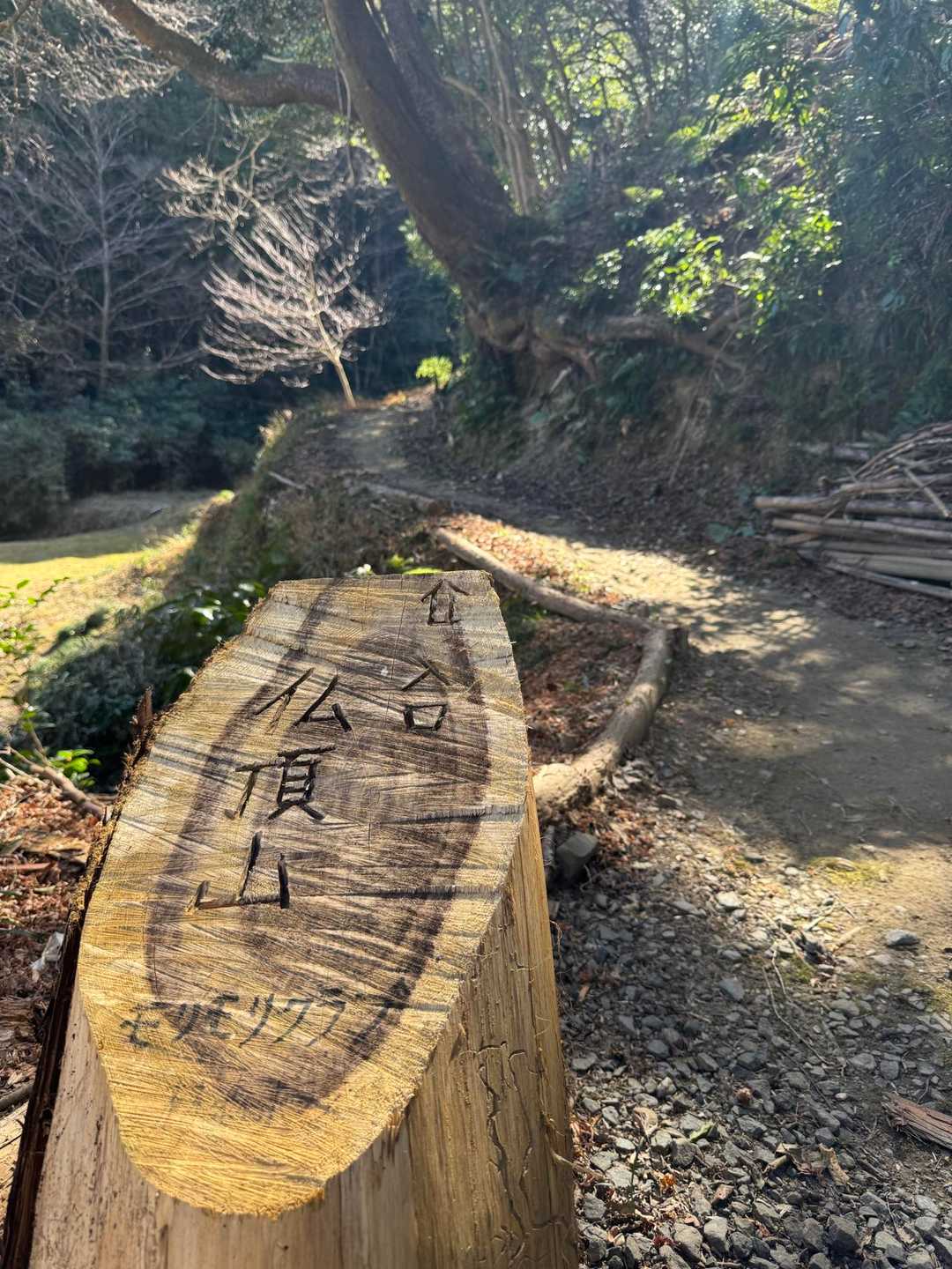 久しぶりの山にワクワク
