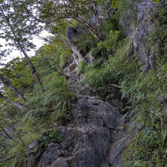 ここが東岳の核心部だと思う🦵