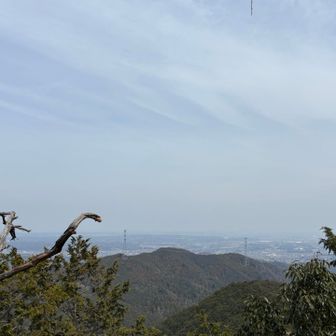 観音ケ岳⛰️より