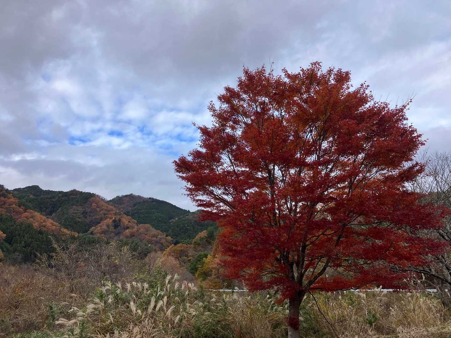 国見山登山口-国見山-山の神 周回コースの写真
