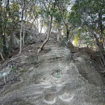この岩場を登り切れば高宕山山頂か、と思いきや…