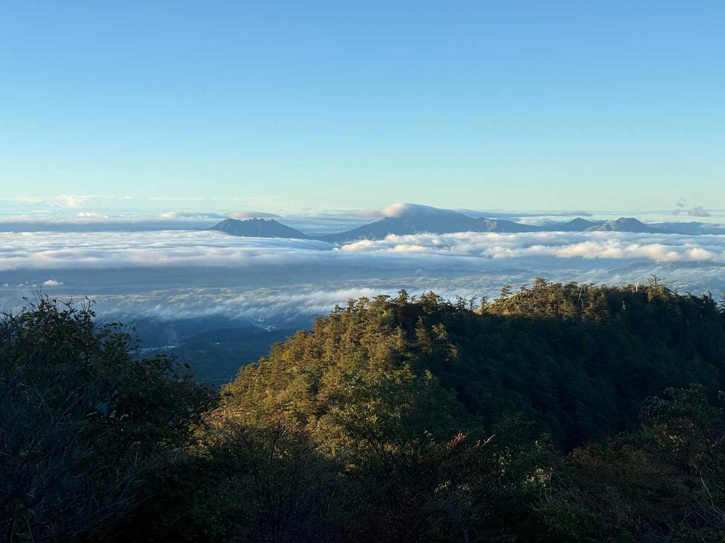 ほれ雲海🙌