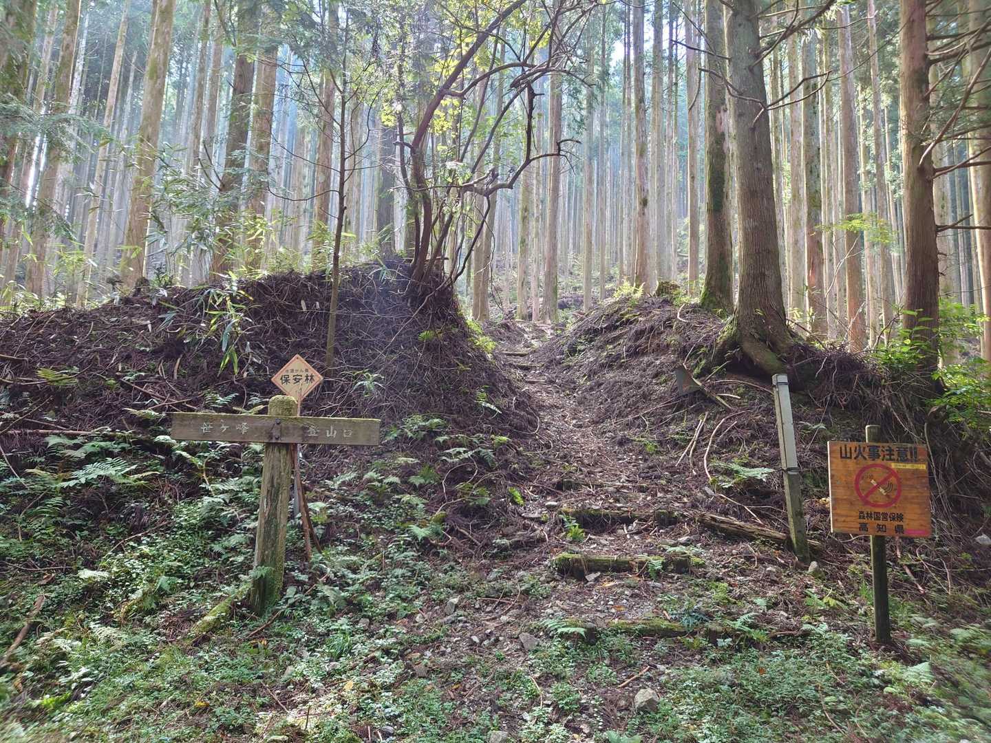笹ヶ峰登山口-笹ヶ峰 周回コースの写真