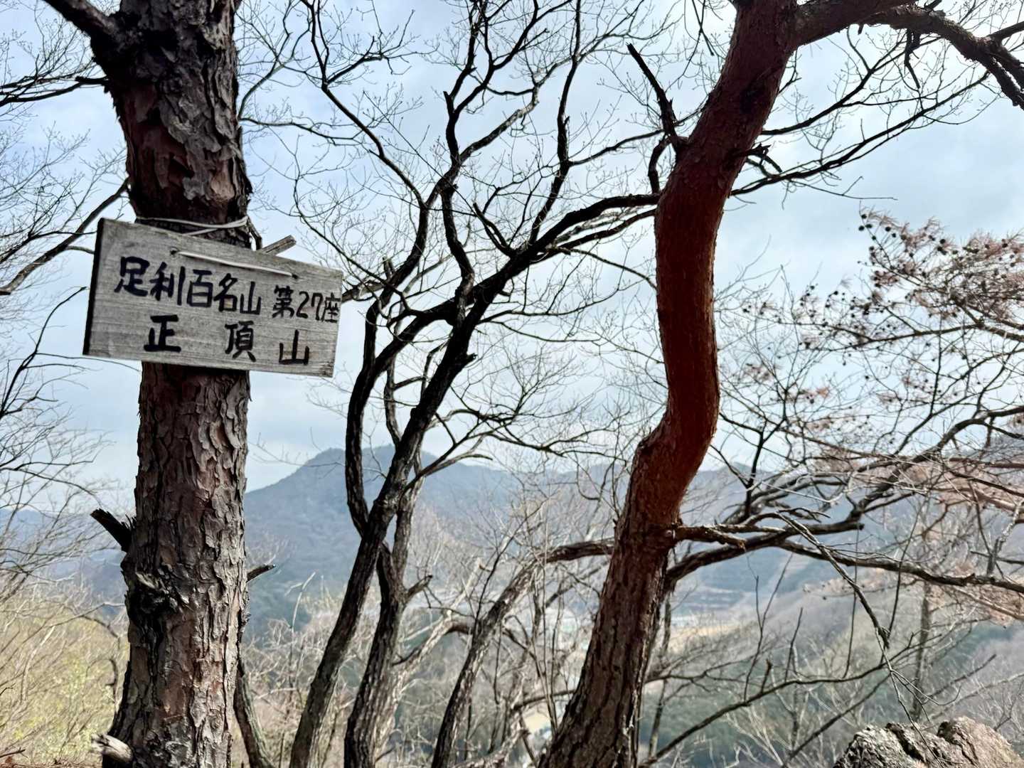 急登を登ると正頂山⛰️