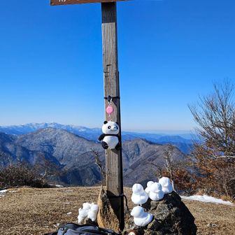 賑やかになった～🎵