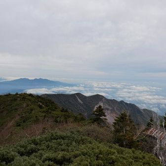 雲海チック