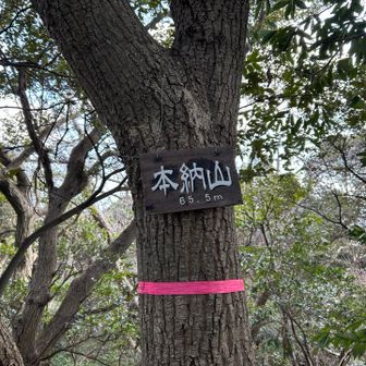 ここのグレーピークで体力削られました😅