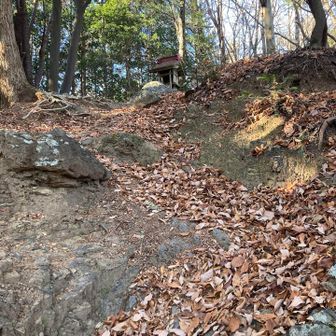 落ち葉の道、滑らずに登らねば