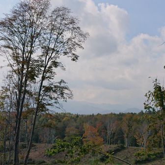 下る途中で遠くの山が見えました。無意根か？