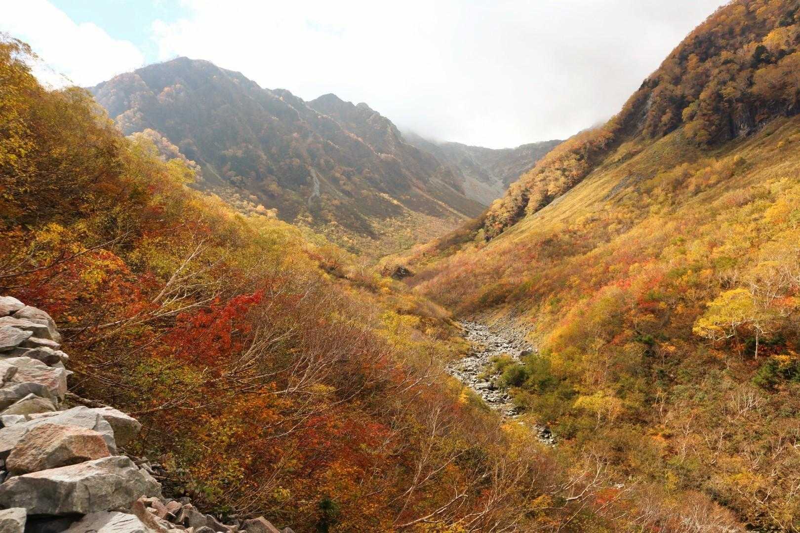 奥までぜーんぶ、秋の色🍁

信じられないくらいに
きれいで、力強くて、繊細