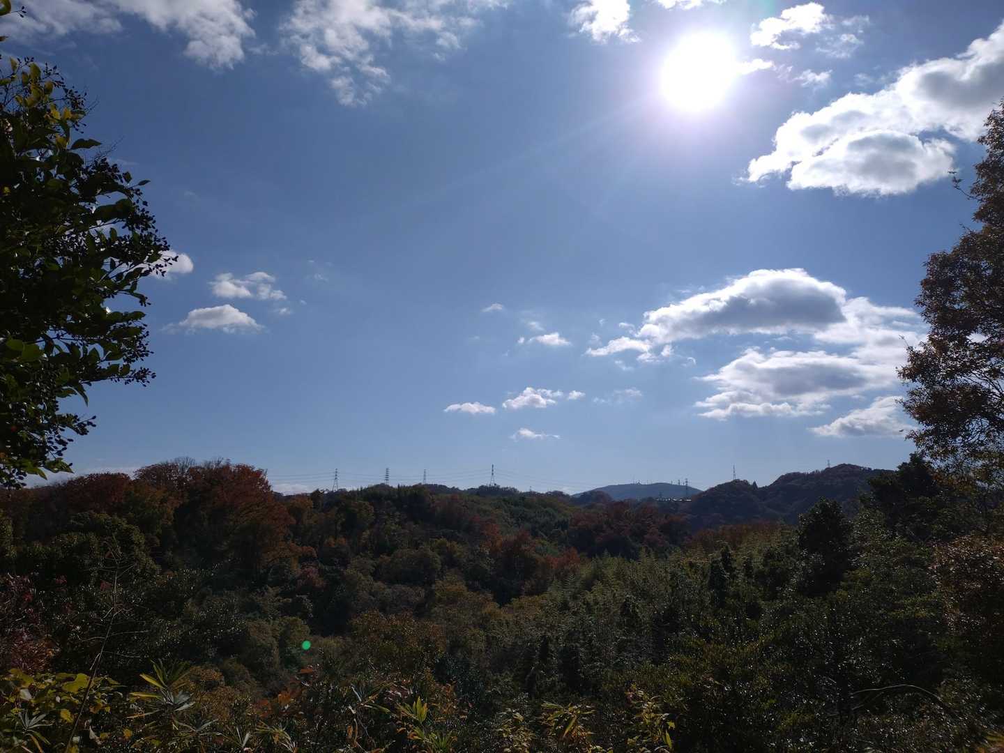 空が綺麗(⁠ ⁠ꈍ⁠ᴗ⁠ꈍ⁠)