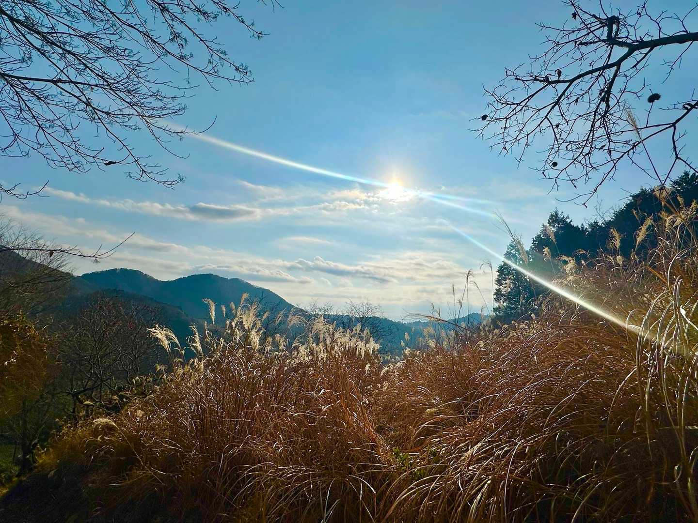 いい天気☀️