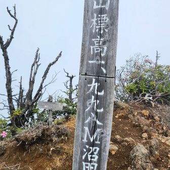 鋸山到着。
ここでランチして荷物をデポして皇海山に向かいました。