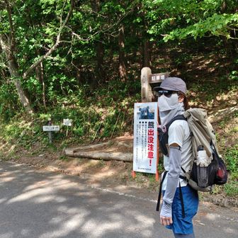 この熊注意の熊さん怖い顔しとるな〜

まぁ、どっちも怖いけど…