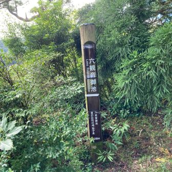 六観音御池到着！！