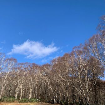 うまっこ広場
青い！